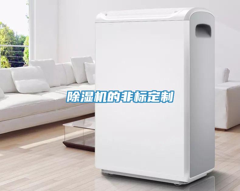 除濕機(jī)的非標(biāo)定制