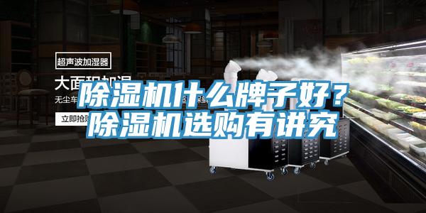 除濕機什么牌子好？除濕機選購有講究