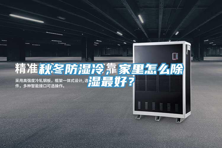 秋冬防濕冷，家里怎么除濕最好？