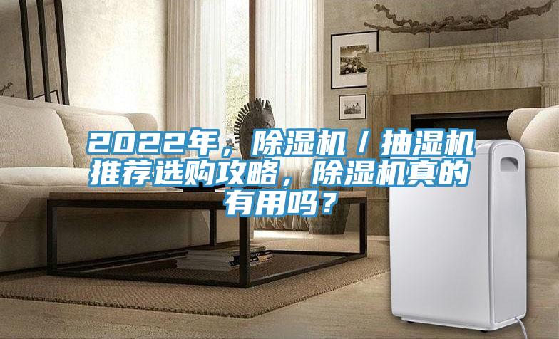 2022年，除濕機／抽濕機推薦選購攻略，除濕機真的有用嗎？