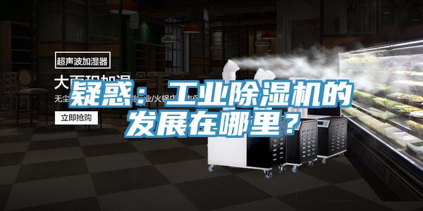 疑惑：工業(yè)除濕機的發(fā)展在哪里？