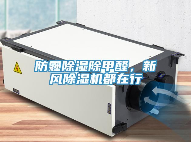 防霾除濕除甲醛，新風(fēng)除濕機都在行