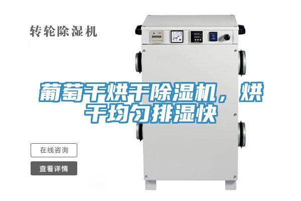 葡萄干烘干除濕機，烘干均勻排濕快
