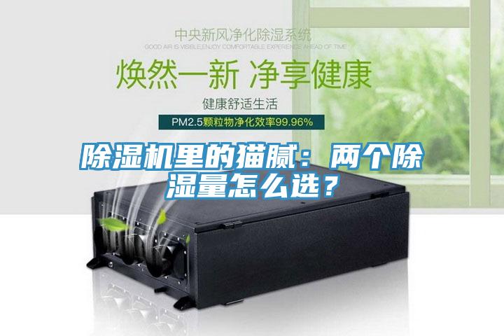 除濕機(jī)里的貓膩：兩個(gè)除濕量怎么選？