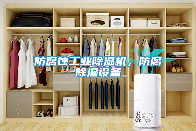 防腐蝕工業(yè)除濕機(jī)，防腐除濕設(shè)備