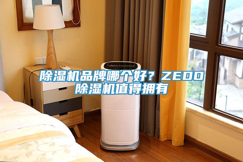 除濕機(jī)品牌哪個(gè)好？ZEDO除濕機(jī)值得擁有