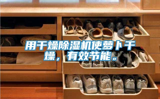 用干燥除濕機使蘿卜干燥，有效節(jié)能。