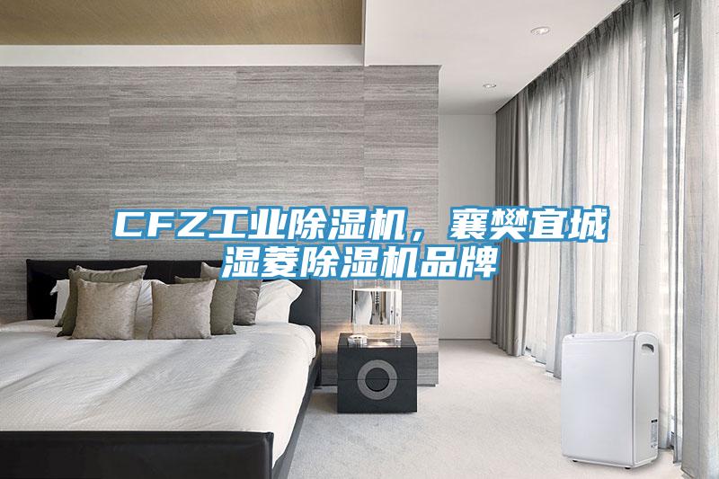 CFZ工業(yè)除濕機(jī)，襄樊宜城濕菱除濕機(jī)品牌