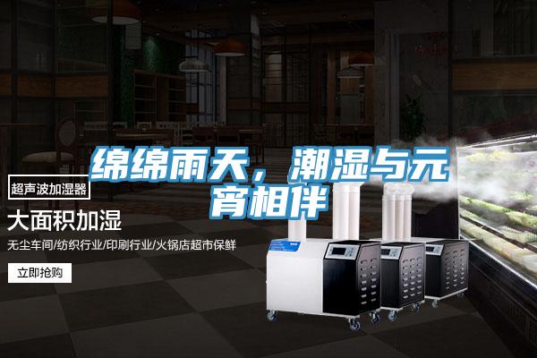 綿綿雨天，潮濕與元宵相伴