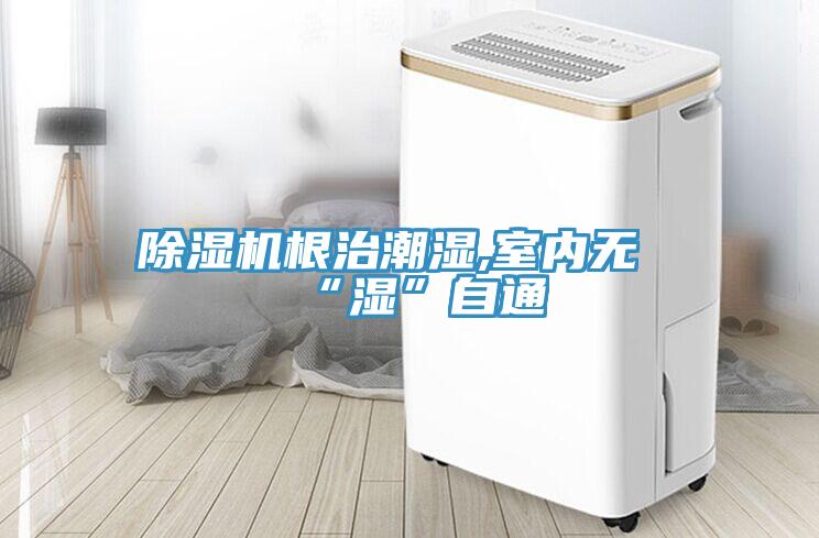 除濕機根治潮濕,室內(nèi)無“濕”自通