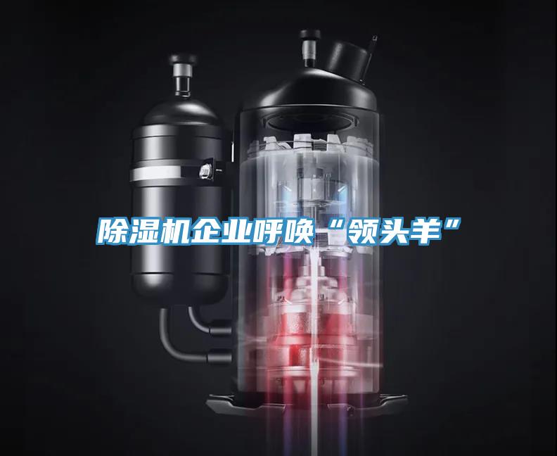 除濕機(jī)企業(yè)呼喚“領(lǐng)頭羊”