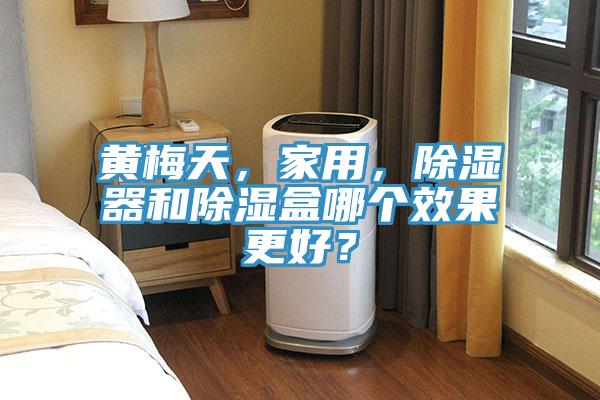 黃梅天，家用，除濕器和除濕盒哪個效果更好？