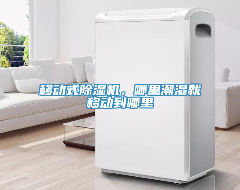 移動(dòng)式除濕機(jī)，哪里潮濕就移動(dòng)到哪里