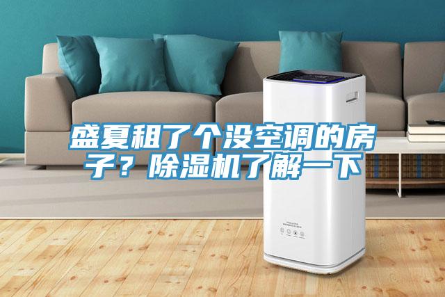 盛夏租了個(gè)沒(méi)空調(diào)的房子？除濕機(jī)了解一下