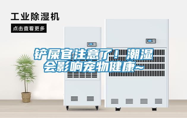 鏟屎官注意了！潮濕會影響寵物健康~