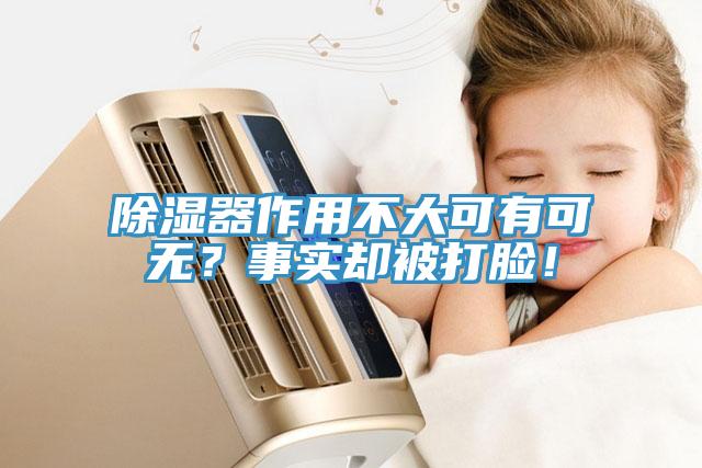 除濕器作用不大可有可無？事實(shí)卻被打臉！
