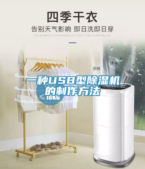 一種USB型除濕機(jī)的制作方法