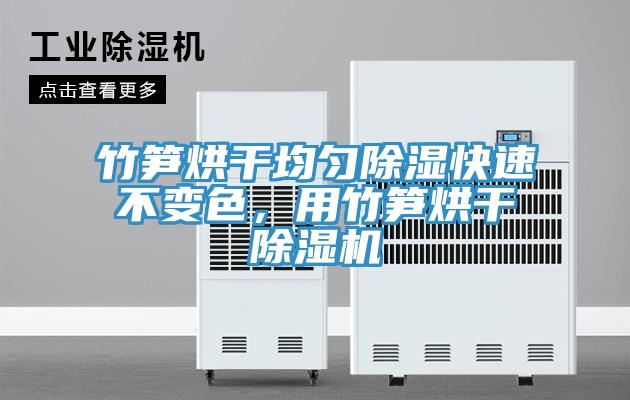 竹筍烘干均勻除濕快速不變色，用竹筍烘干除濕機(jī)