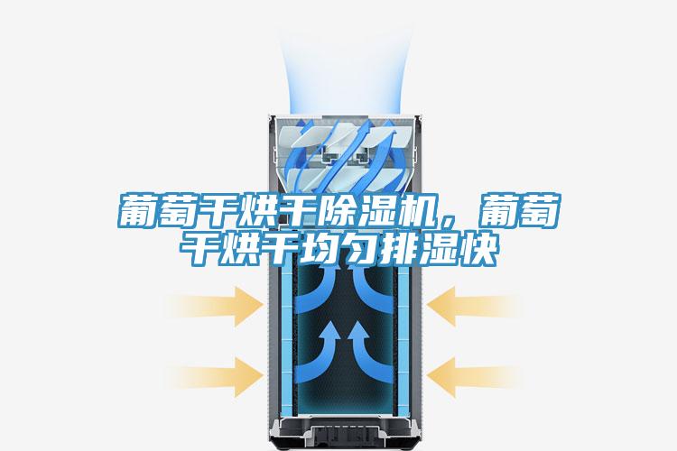 葡萄干烘干除濕機(jī)，葡萄干烘干均勻排濕快