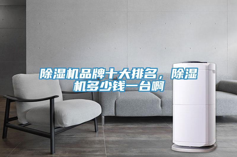 除濕機(jī)品牌十大排名，除濕機(jī)多少錢一臺(tái)啊