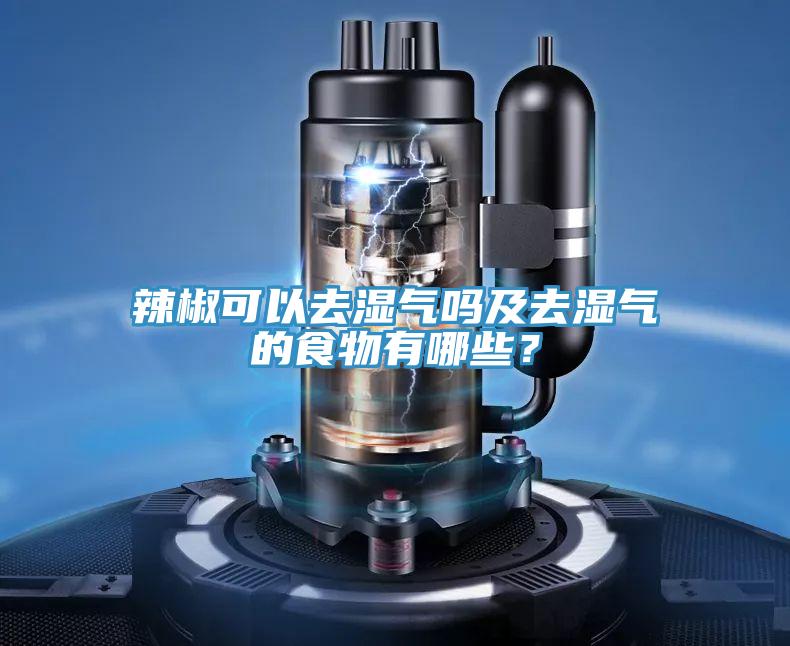 辣椒可以去濕氣嗎及去濕氣的食物有哪些？