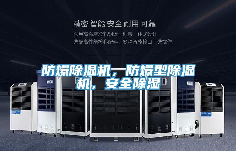 防爆除濕機(jī)，防爆型除濕機(jī)，安全除濕