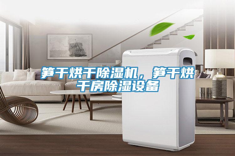 筍干烘干除濕機(jī)，筍干烘干房除濕設(shè)備