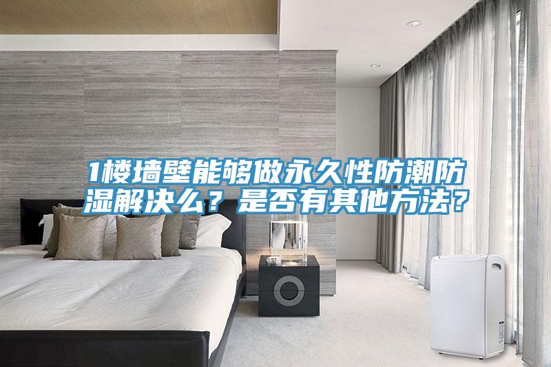 1樓墻壁能夠做永久性防潮防濕解決么？是否有其他方法？