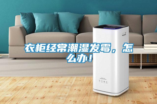 衣柜經(jīng)常潮濕發(fā)霉，怎么辦！