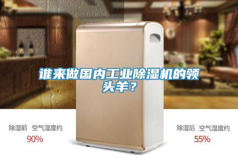 誰來做國內(nèi)工業(yè)除濕機的領頭羊？