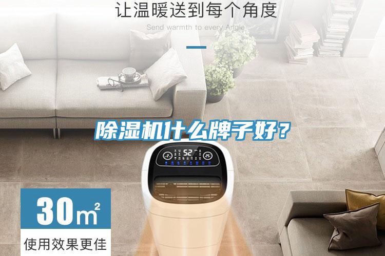 除濕機什么牌子好？