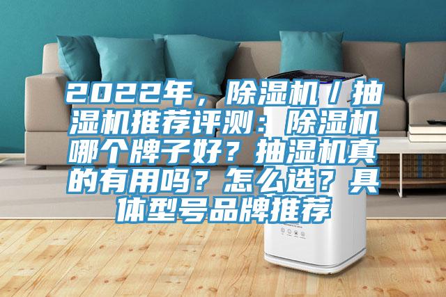 2022年，除濕機／抽濕機推薦評測：除濕機哪個牌子好？抽濕機真的有用嗎？怎么選？具體型號品牌推薦