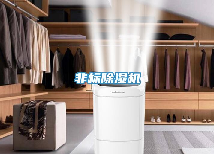 非標(biāo)除濕機