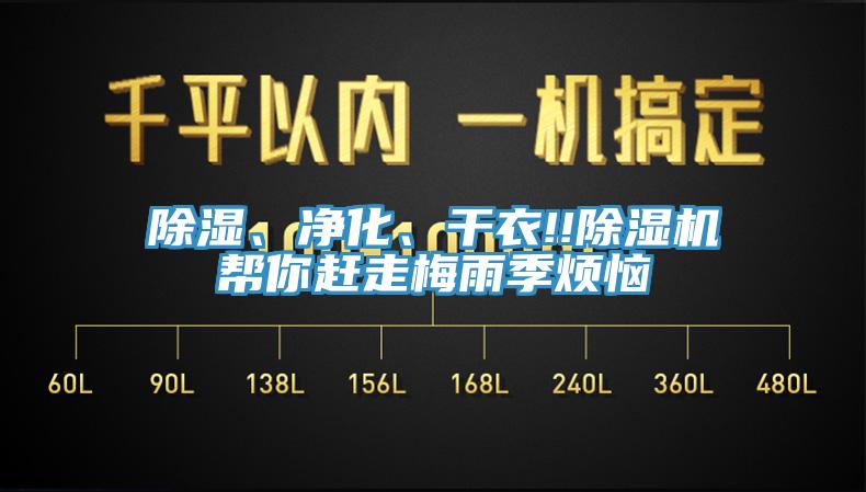除濕、凈化、干衣!!除濕機(jī)幫你趕走梅雨季煩惱