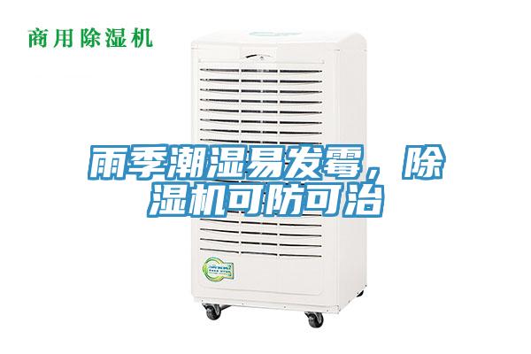 雨季潮濕易發(fā)霉，除濕機(jī)可防可治