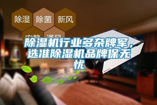 除濕機(jī)行業(yè)多雜牌軍，選準(zhǔn)除濕機(jī)品牌保無憂