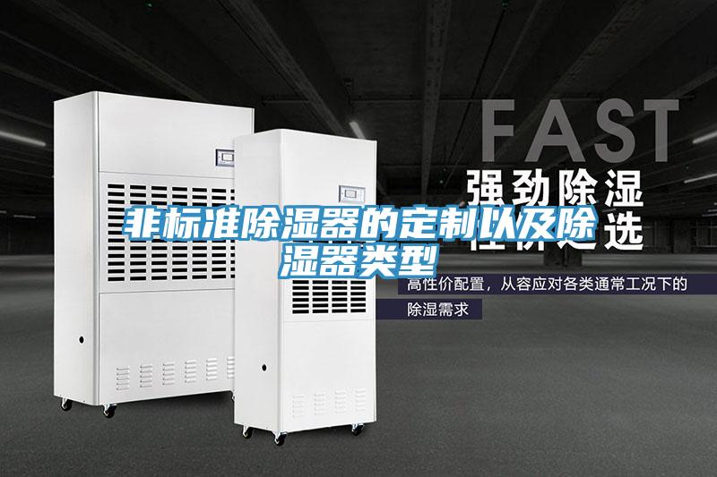 非標(biāo)準(zhǔn)除濕器的定制以及除濕器類型