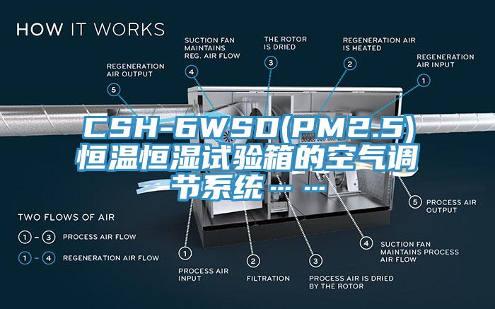CSH-6WSD(PM2.5)恒溫恒濕試驗箱的空氣調(diào)節(jié)系統(tǒng)……