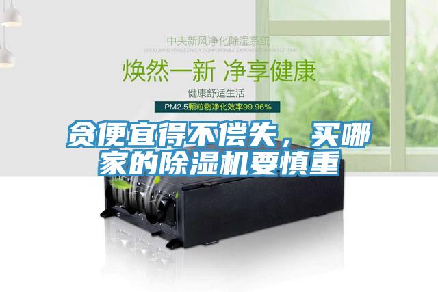 貪便宜得不償失，買哪家的除濕機(jī)要慎重