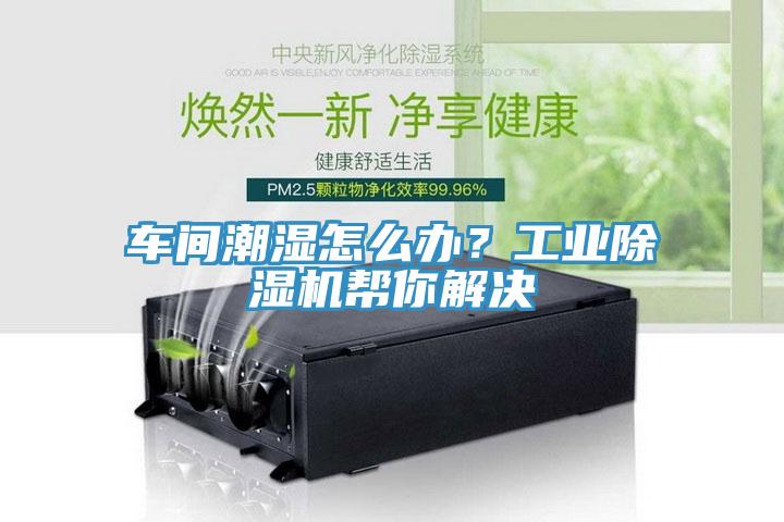 車間潮濕怎么辦？工業(yè)除濕機幫你解決