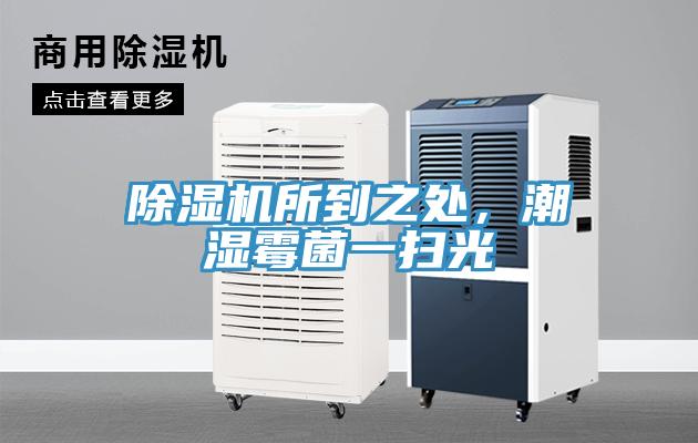 除濕機所到之處，潮濕霉菌一掃光