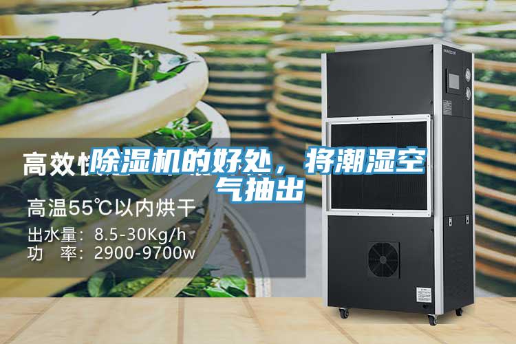 除濕機(jī)的好處，將潮濕空氣抽出