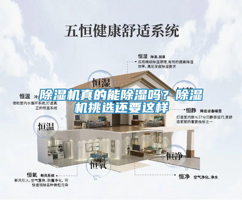 除濕機真的能除濕嗎？除濕機挑選還要這樣
