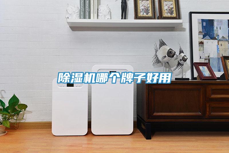 除濕機哪個牌子好用