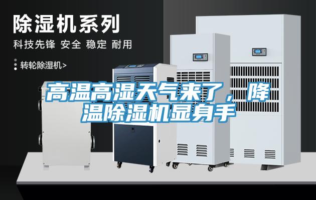高溫高濕天氣來了，降溫除濕機顯身手