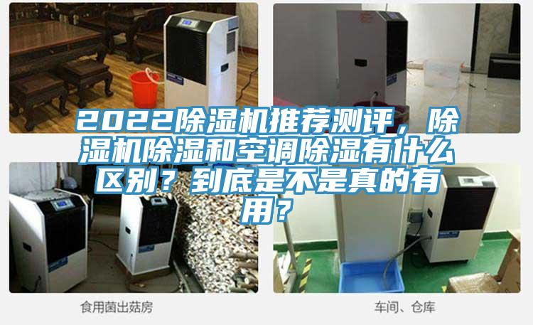 2022除濕機推薦測評，除濕機除濕和空調(diào)除濕有什么區(qū)別？到底是不是真的有用？