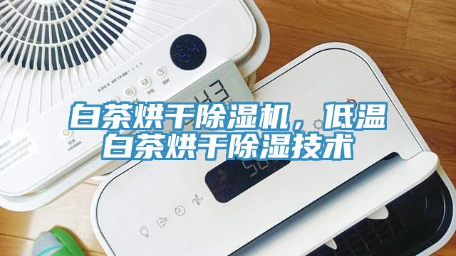 白茶烘干除濕機(jī)，低溫白茶烘干除濕技術(shù)