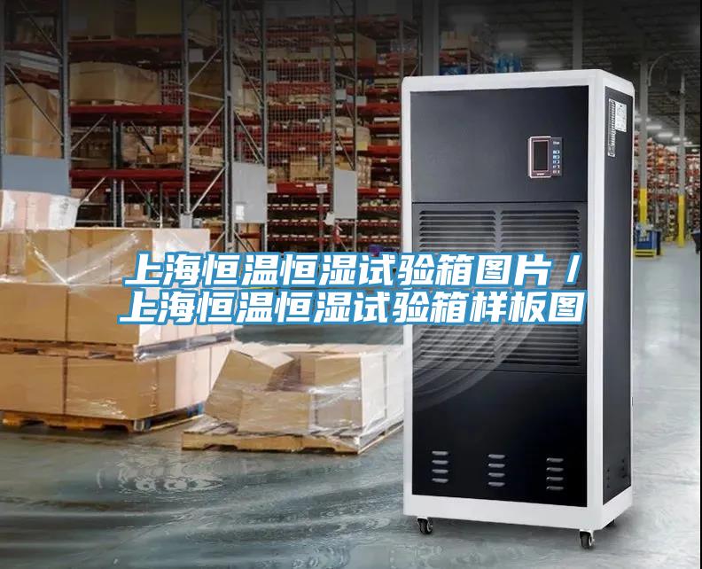 上海恒溫恒濕試驗(yàn)箱圖片／上海恒溫恒濕試驗(yàn)箱樣板圖