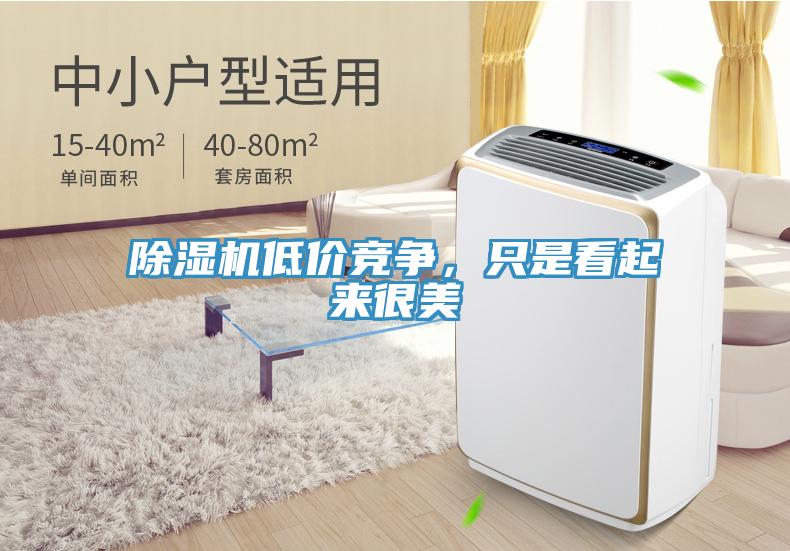 除濕機(jī)低價(jià)競(jìng)爭(zhēng)，只是看起來(lái)很美