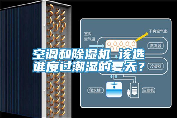空調(diào)和除濕機 該選誰度過潮濕的夏天？